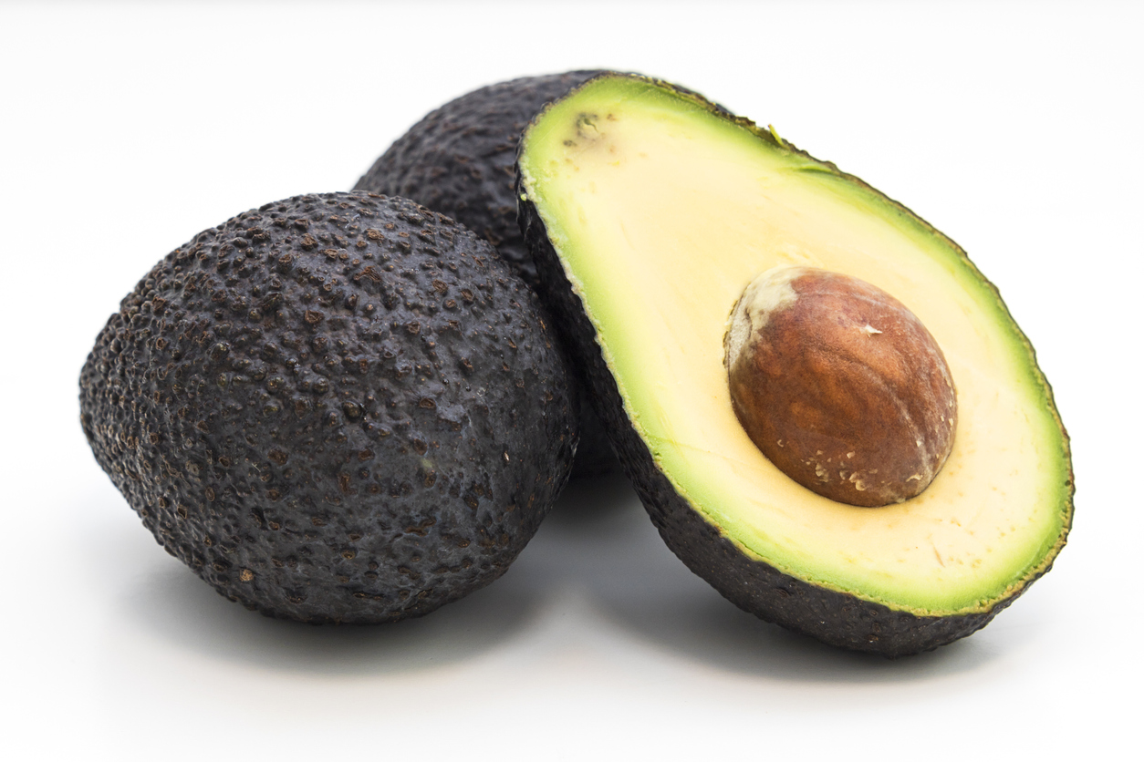 Introduction to Avocados - Food Gardening Network