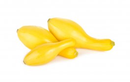 Yellow Crookneck Squash