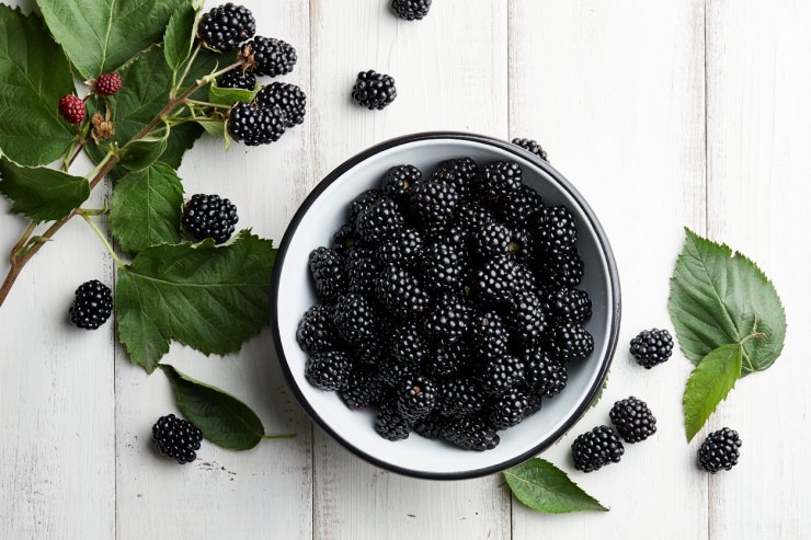 Blackberries in bowl.