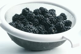 Essential Tools and Equipment for Growing and Enjoying Blackberries