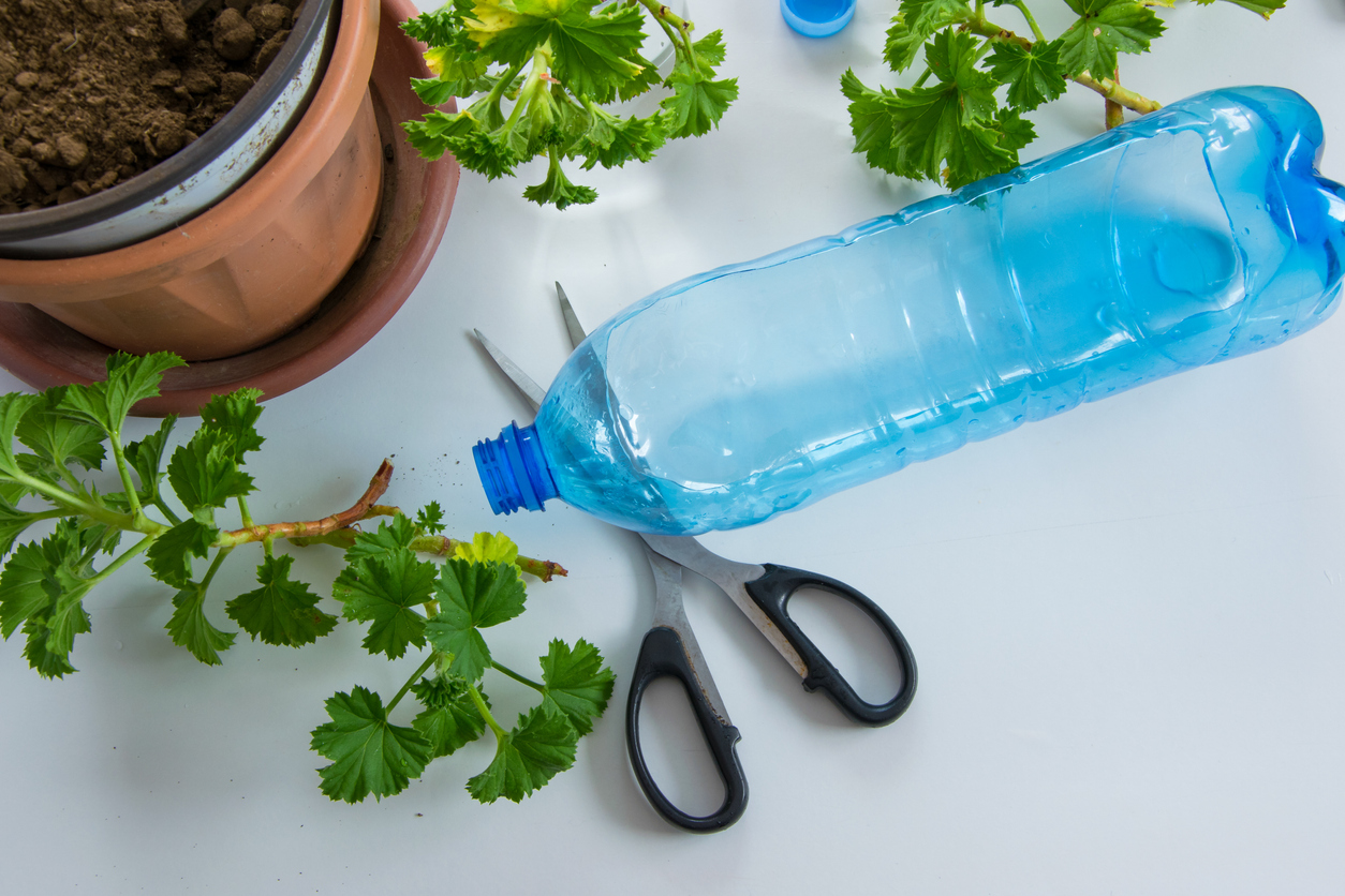 How to Make Self-Watering Plant Bulbs From Recycled Bottles - Food ...