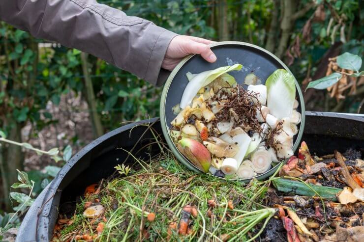 Odor free compost bin