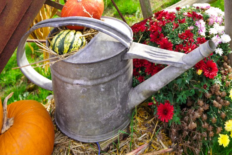 Old sheet metal watering can decorated with melons and flowers