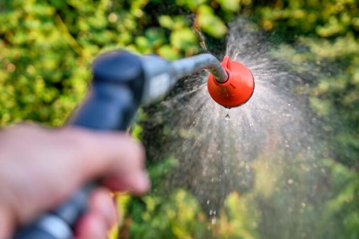 Closeup of watering the garden with a garden shower