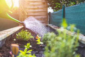 10 Benefits of Planting in Raised Beds That Will Save Your Back and More