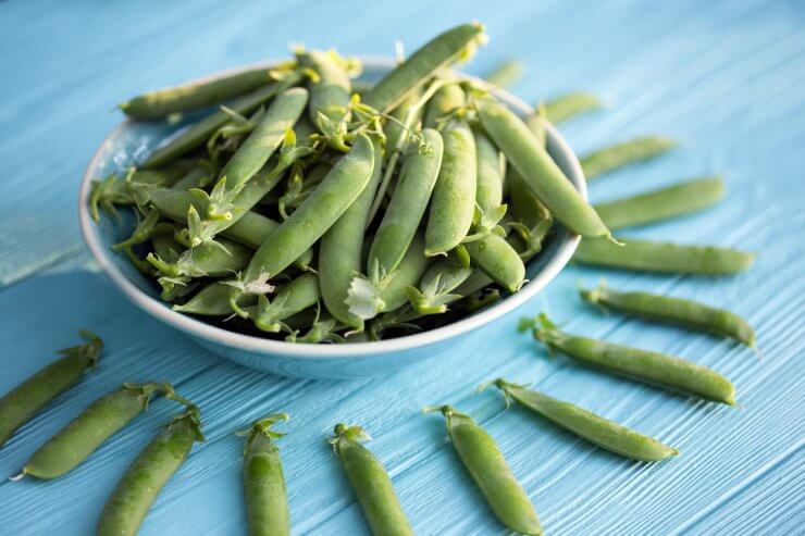 Blue Bantam Dwarf Peas