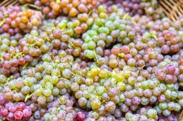 Canadice Grapes