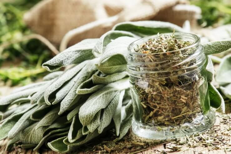 Preserving Sage