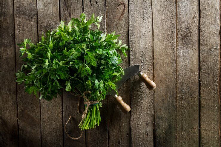 Fresh cut parsley with mincing knife
