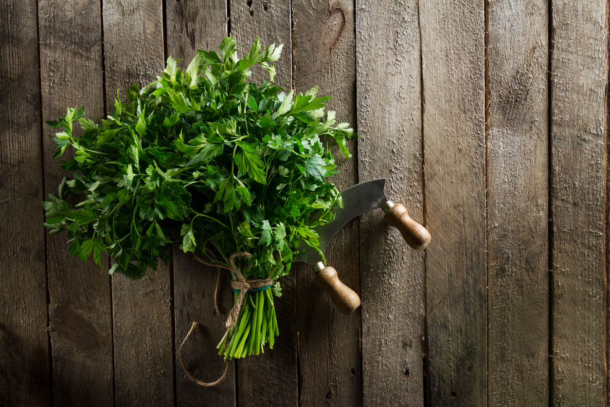 Essential Tools and Equipment for Growing and Enjoying Parsley Food