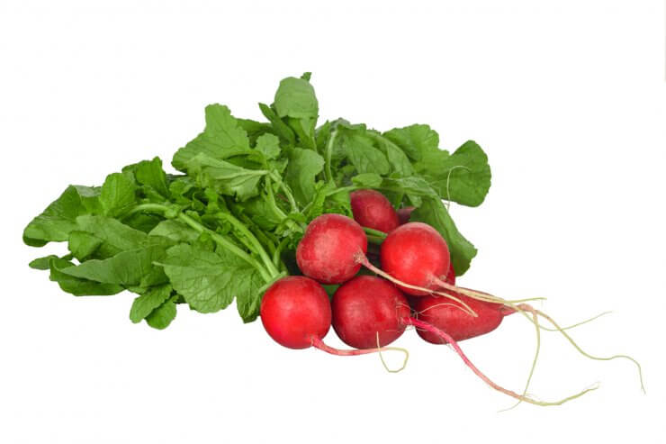 Radishes