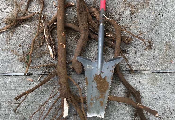 Root Slayer Shovel
