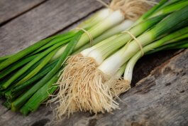 Types of Scallion Plants