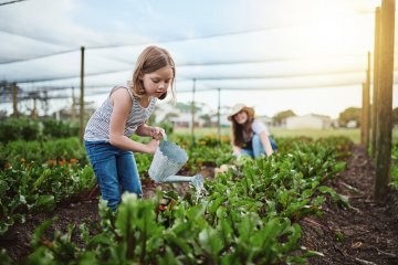 How to Water Your Garden for the Best Vegetable Crops