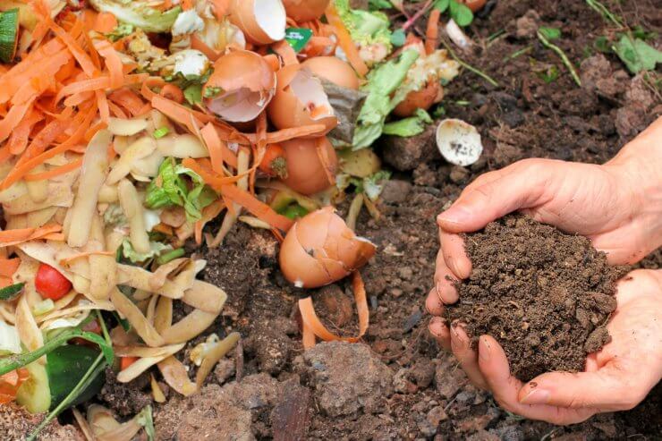 Compost with composted earth