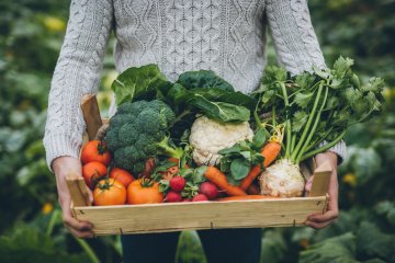 How to Get Into Organic Planting Without Spending a Fortune