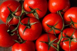 How to Ripen Tomatoes Quickly Three Ways