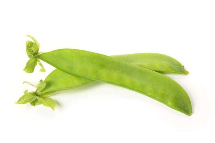 Snowbird peas