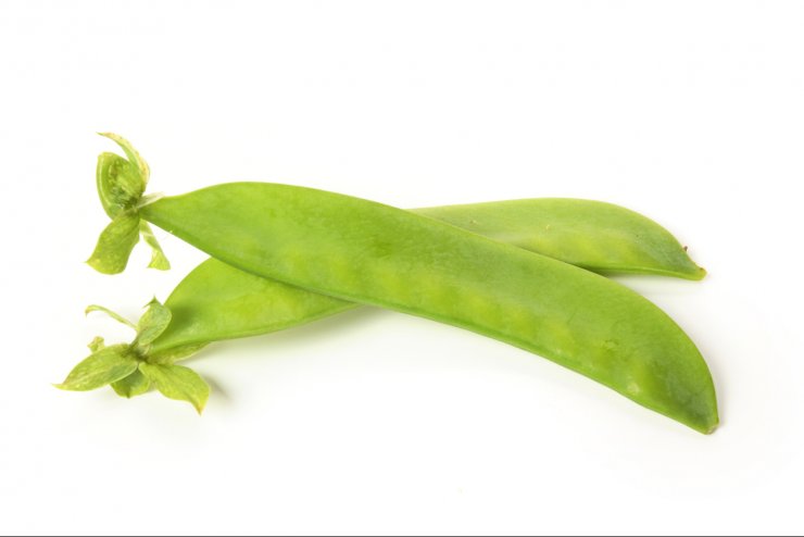 Snowbird peas