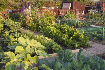 How to Plan an English Vegetable Garden