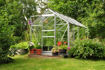 The Best Vegetables to Grow in a Greenhouse