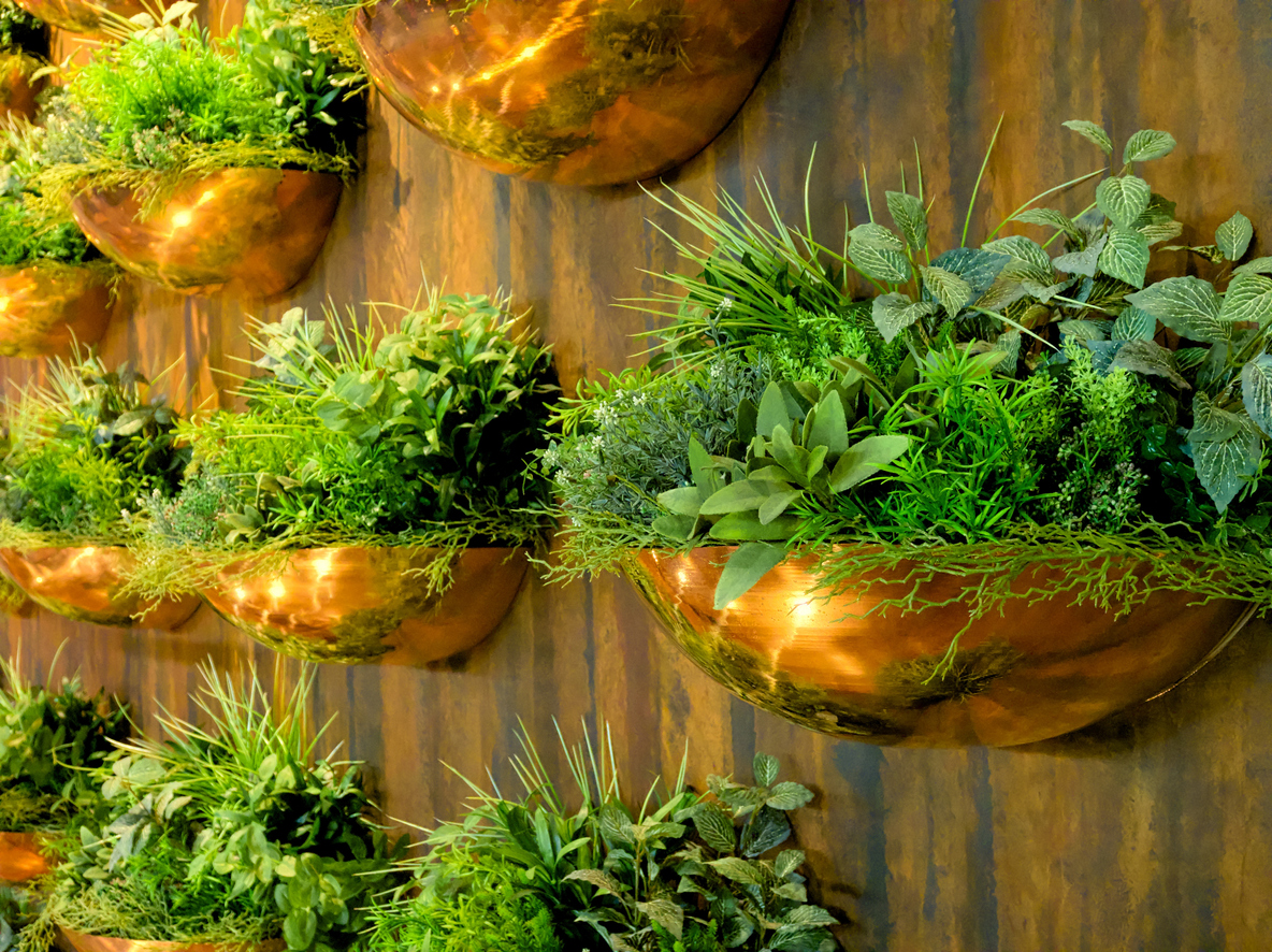 kitchen wall herbs