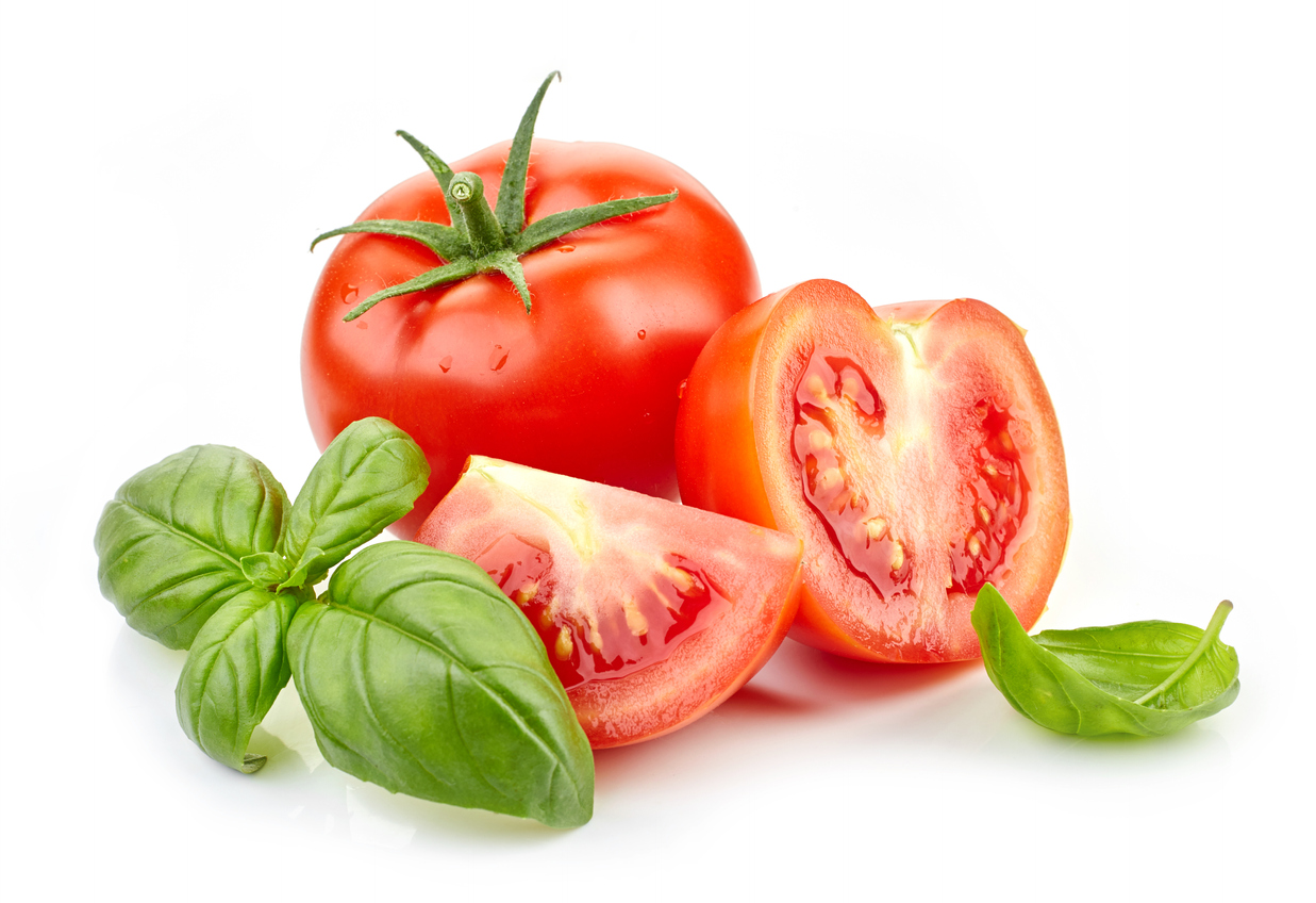 The Biggest Basil and Tomato Companion Planting Benefits Food