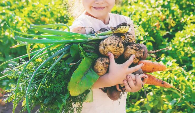 kid picking veggies