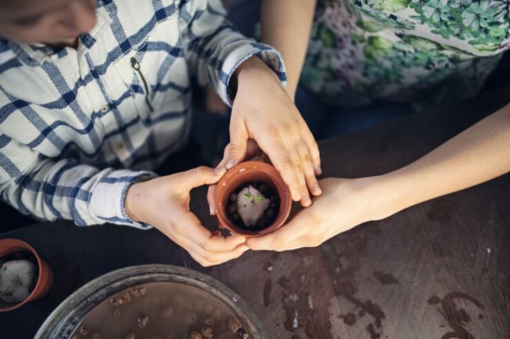 Kids moving seedlings into home hydroponics pots