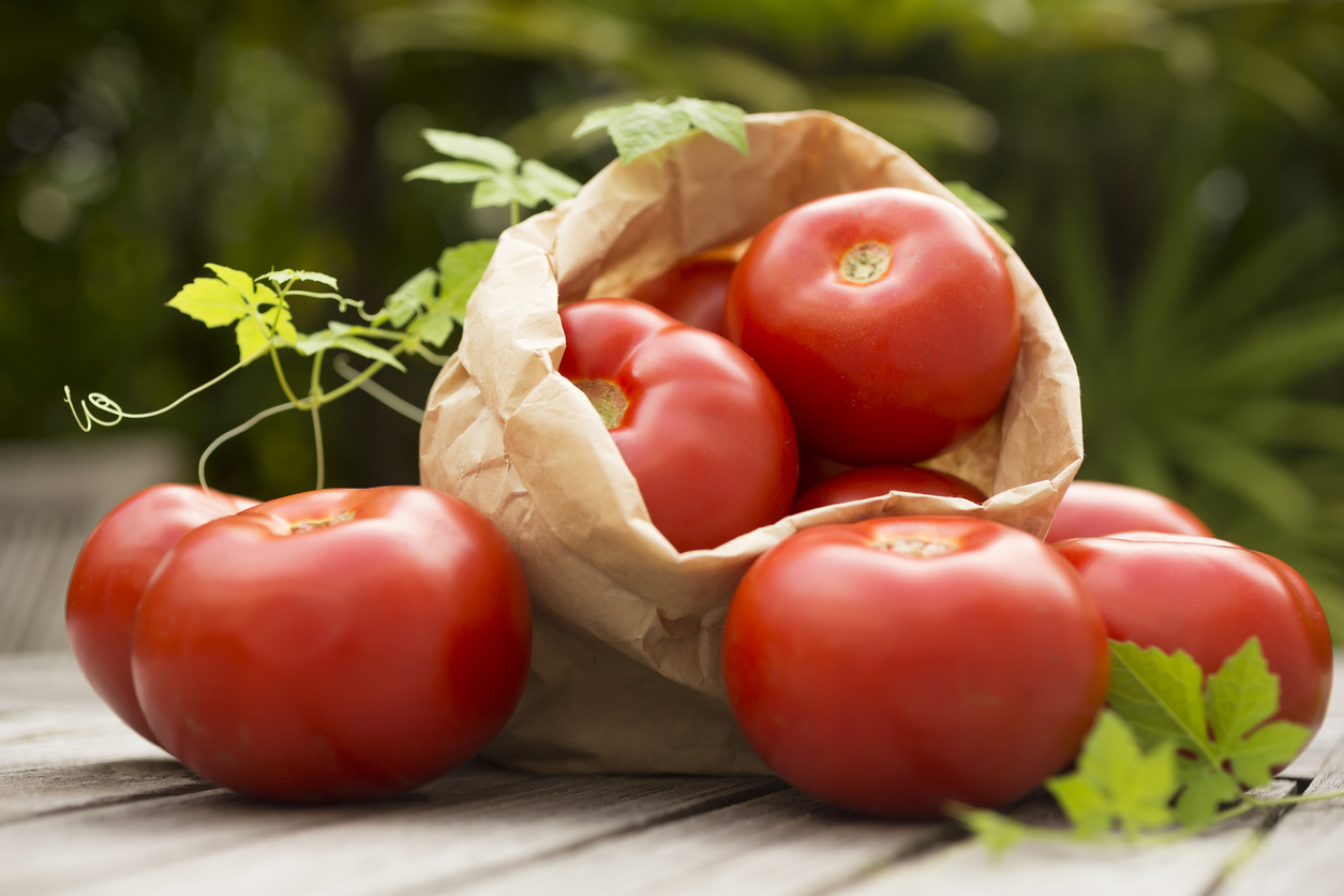 How to Ripen Tomatoes Quickly Three Ways Food Gardening Network