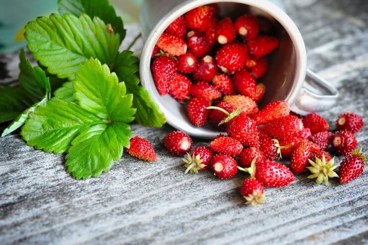 Fresh wild strawberries