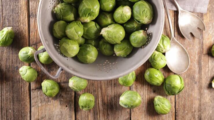 Brussels sprouts, freshly harvested