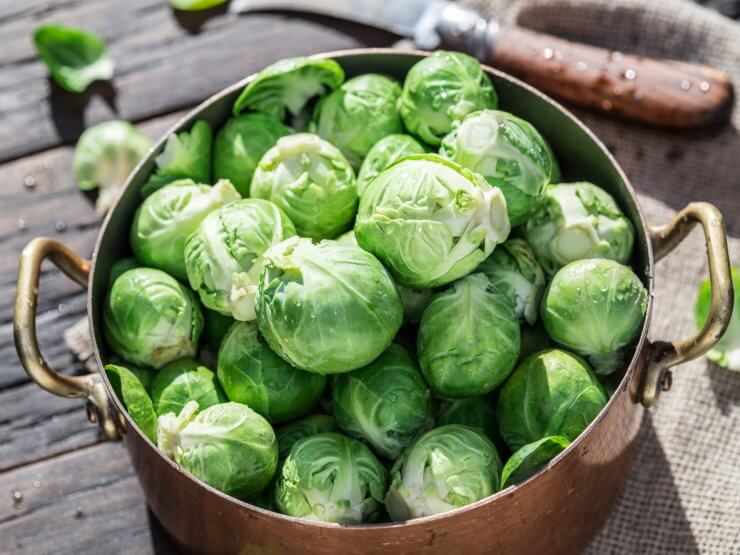 Brussels sprouts in a pot