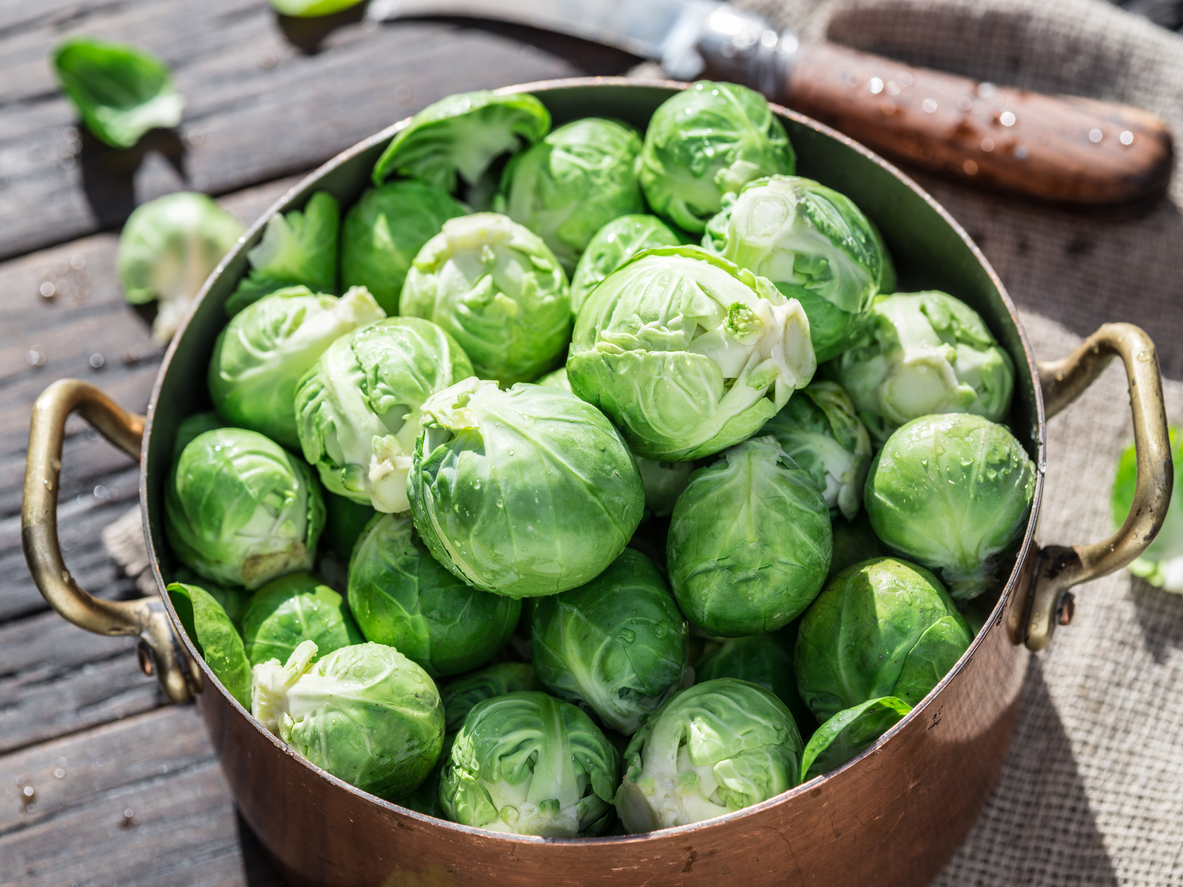 Nutrition Facts About Brussels Sprouts Food Gardening Network