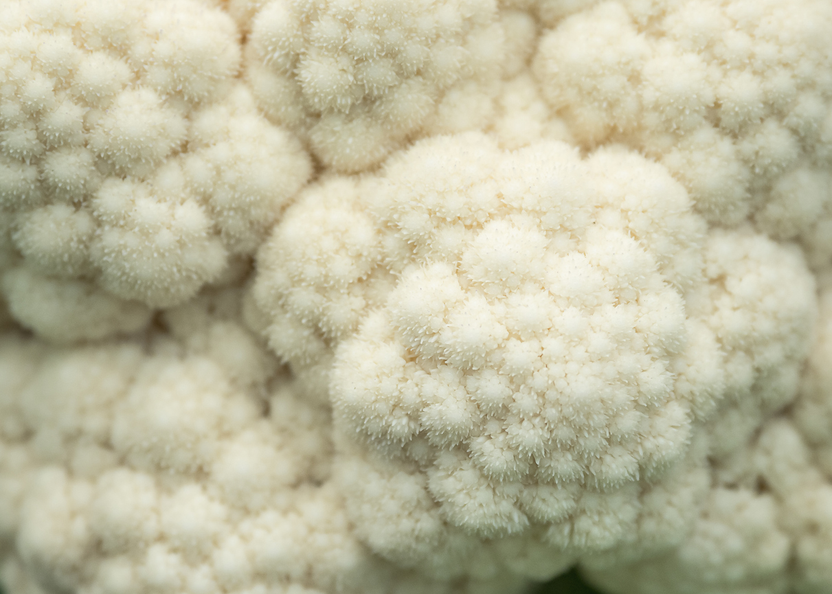 Problems with Cauliflower Heads Food Gardening Network