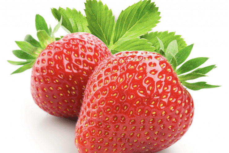 Chandler Strawberries