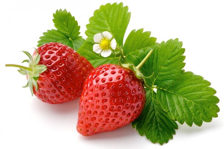 Earliglow strawberries
