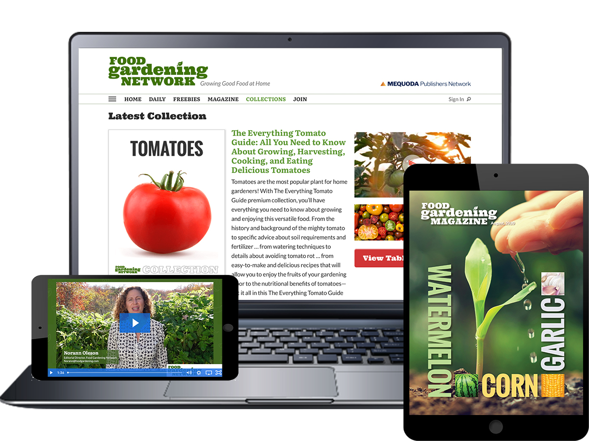 Food Gardening Network Gold Club