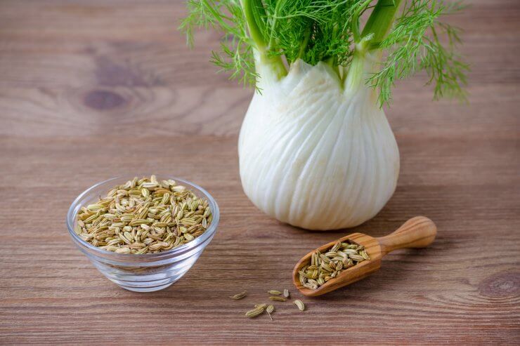 Fight diseases with fennel
