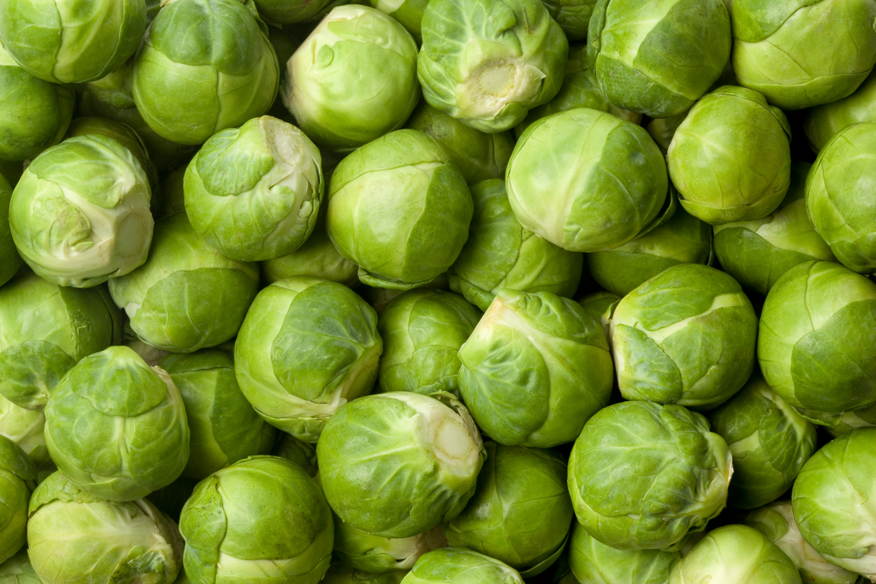 Introduction to Brussels Sprouts - Food Gardening Network