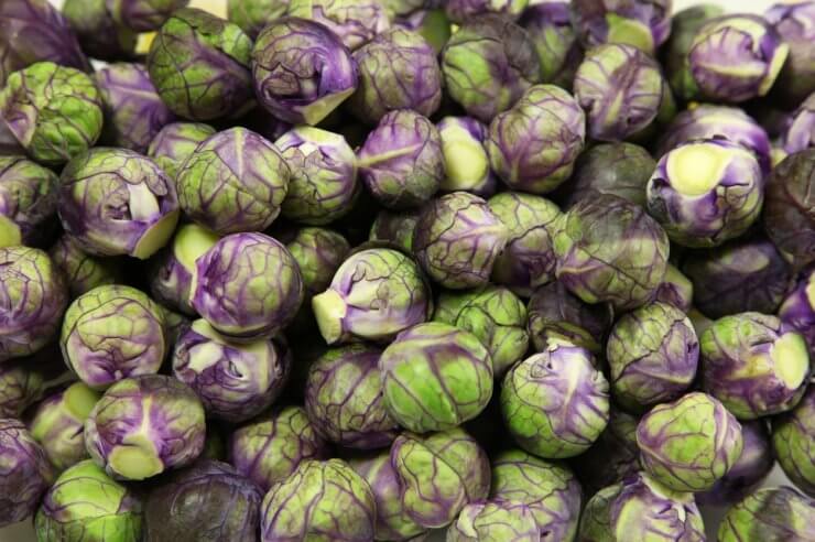 Red Bull Brussels Sprouts