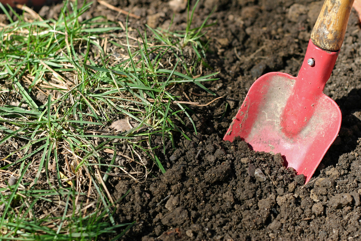 Is Loam Soil Good For Planting