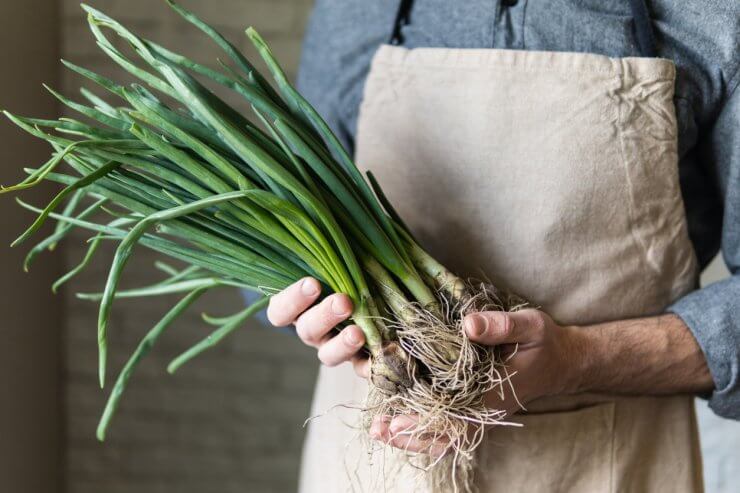 Scallions are great for your health
