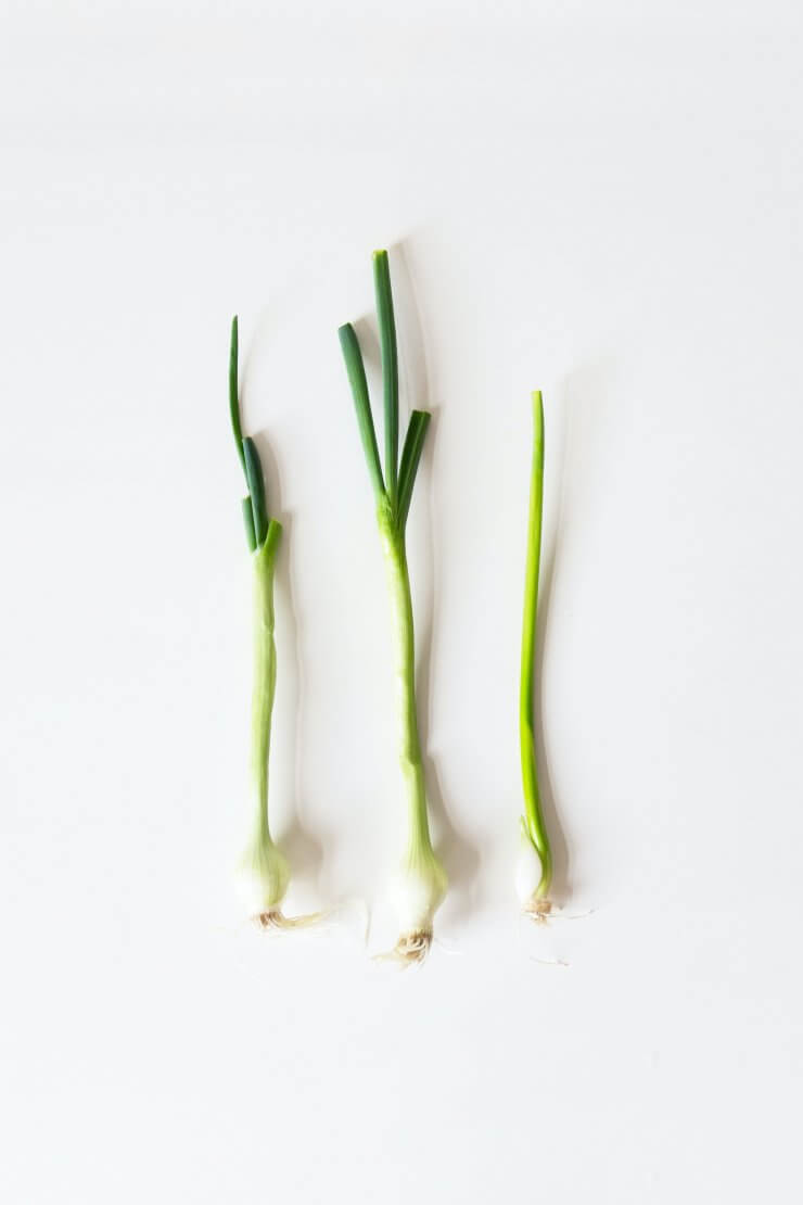 Spring Onions