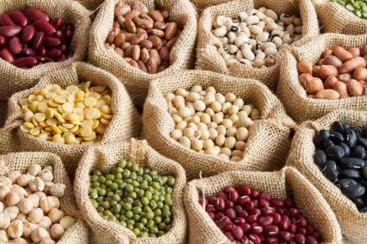 how to select good seeds for planting