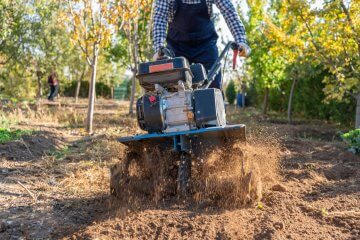 3 Tools Needed to Start a Garden and 3 You Really Don’t Need - Food