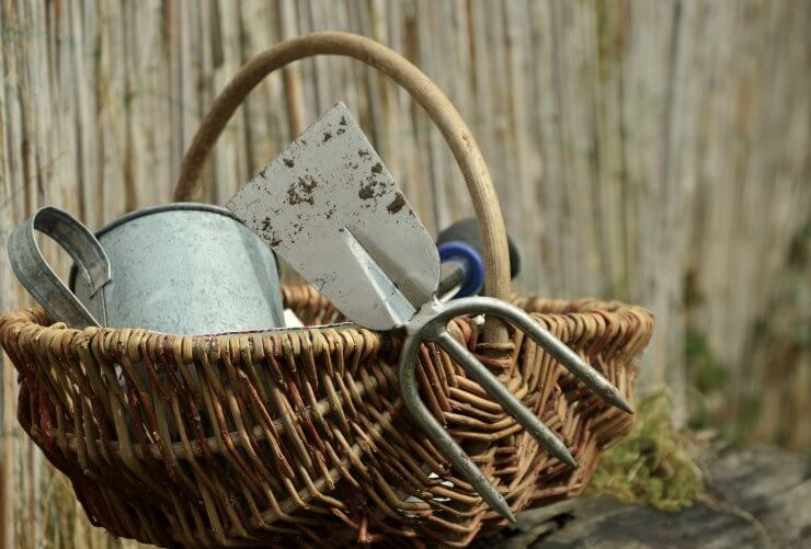 Basket of gardening tools