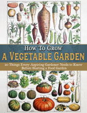 How to Grow a Vegetable Garden