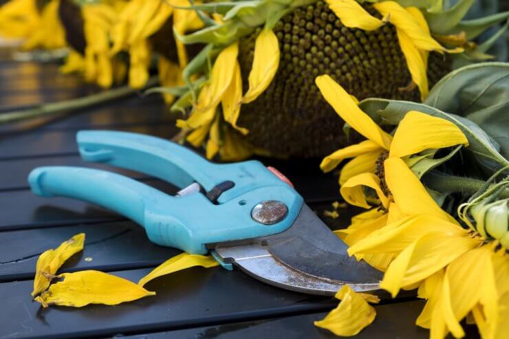 Shears, bypass pruners, gardening shears