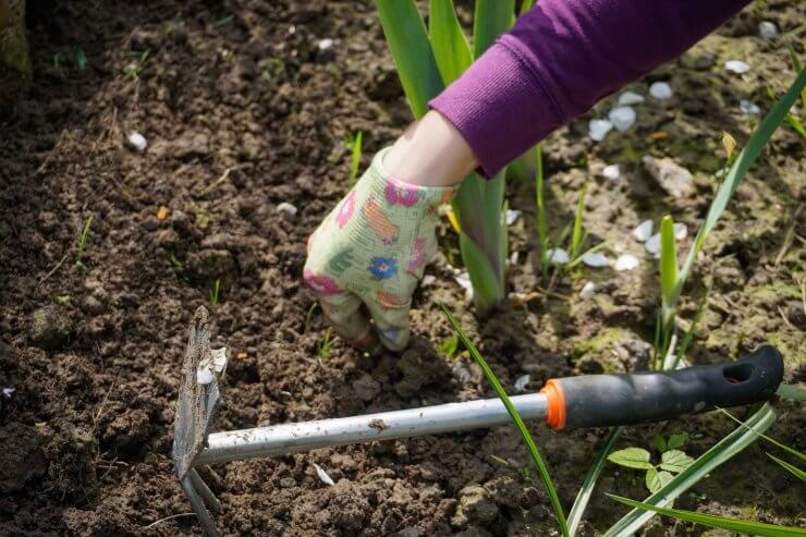 Working in garden